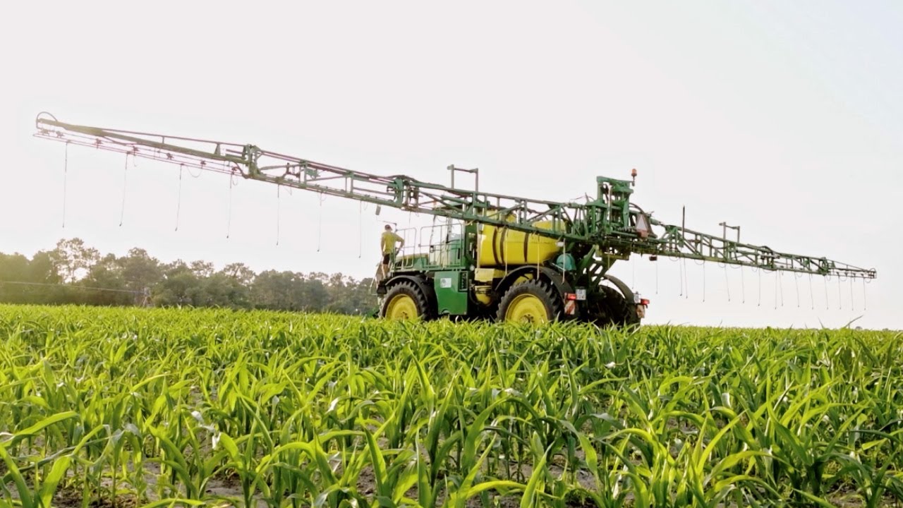 Weed control in maize with help of a drone based map | John Deere - YouTube