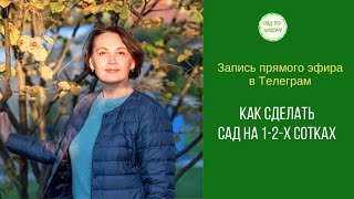 Планировка маленьких садов.  Особенности планирования #садпоновому #школадизайна #сад #полезное