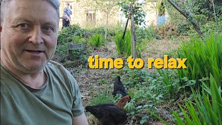 Chickens First Time Outside Ever: Slow Living!