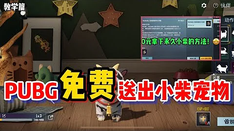 求姐：如何免費領取永久小柴，PUBG免費派發永久皮膚｜PUBGMOBILE - 天天要聞