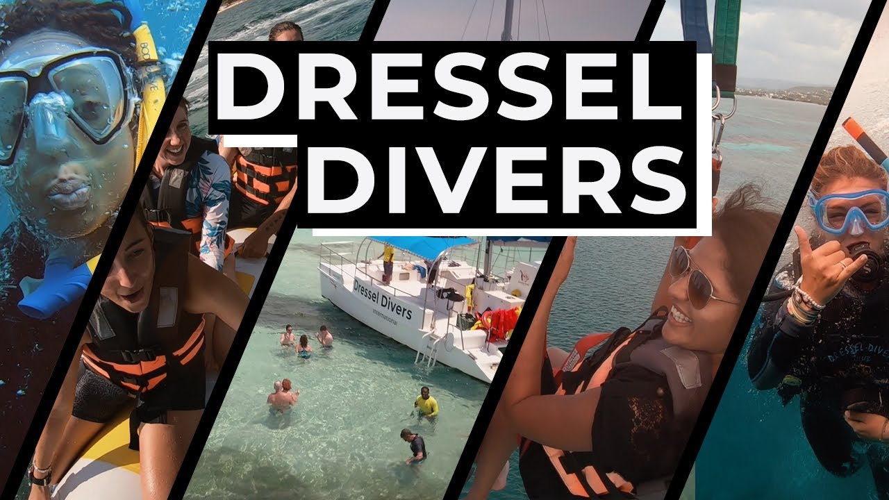 Catamaran cruise, parasailing, snorkeling and more with Dressel Divers