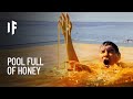 What If You Jumped Into a Pool Full of Honey?