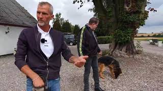 ARTHUR   NERVØS SCHÆFER, GØR AF MENNESKER OG LAVER UDFALD MOD HUNDE I onlinehund.dk