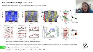 JournayClub   16 05 2024   AgRP neurons encodecircadian feeding time