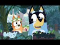 Le printemps avec Bluey 🌸 | Chaîne Officielle