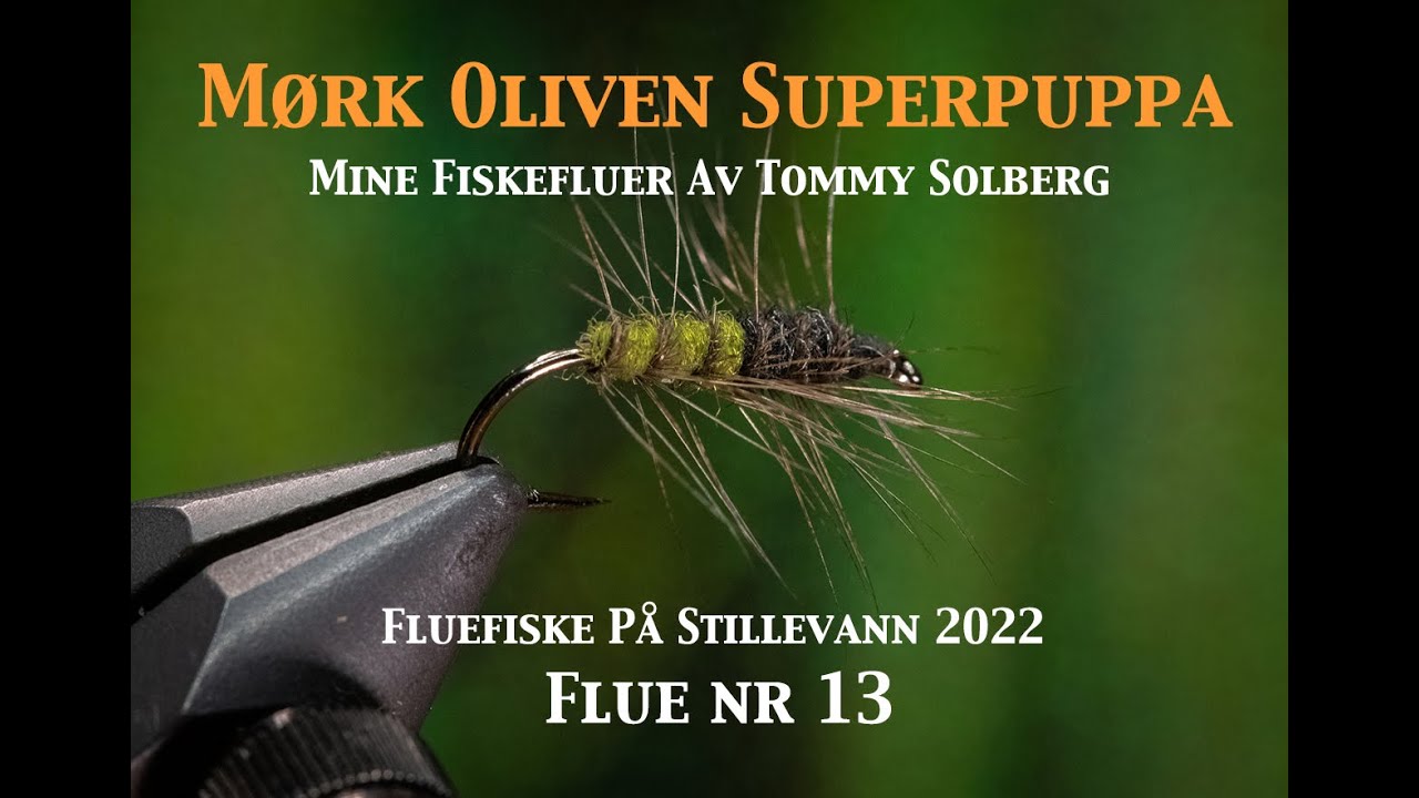 Oliven Superpuppa. Mine fiskefluer og Fluefiske på stillevann 2022.