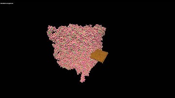 Molecular Dynamics Simulation: Graphene-Polymer Nano-composite