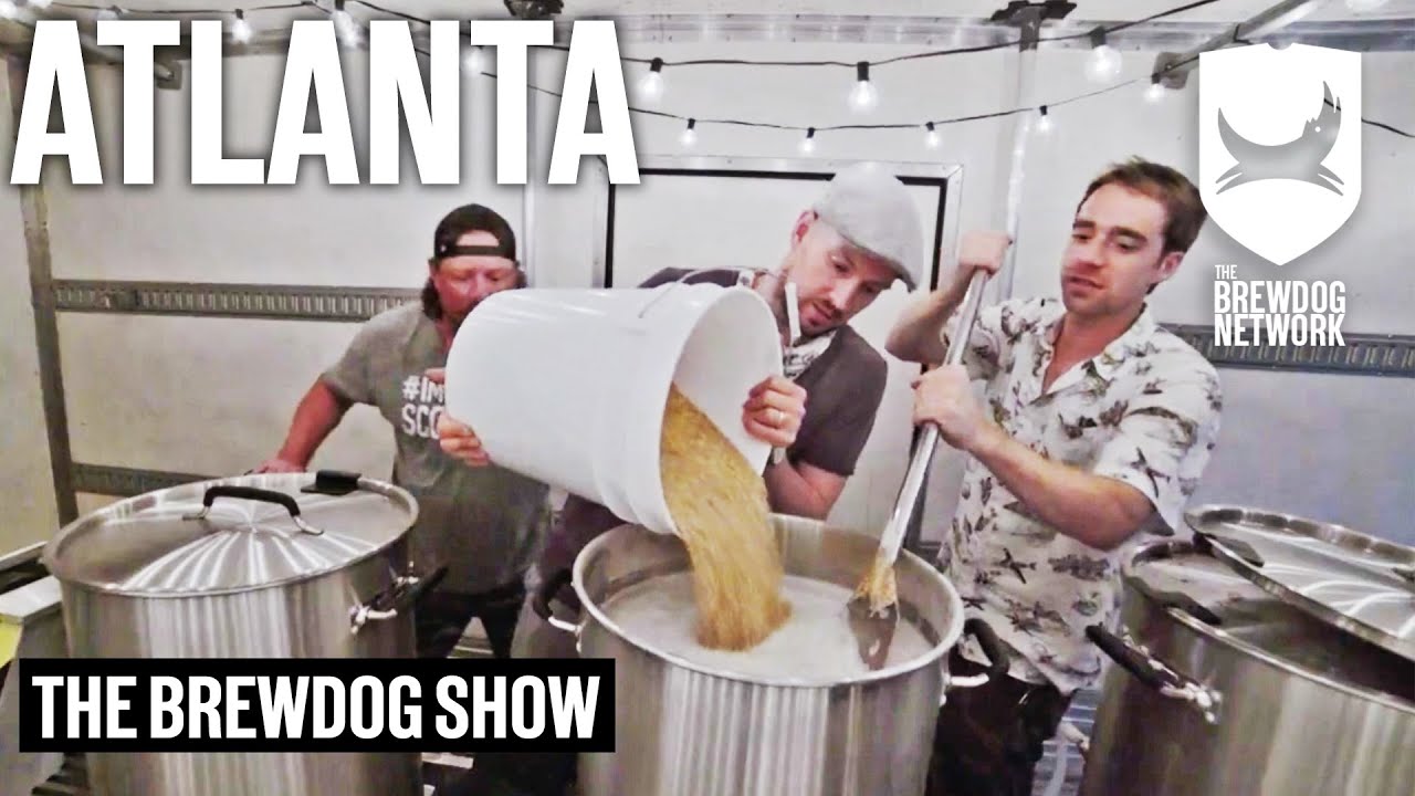 BrewDog Squirrel Beer: The 5 Most Shocking Revelations from the World's Boldest Brew 7 YouTube player