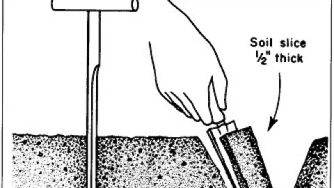 Soil sampling procedures 101