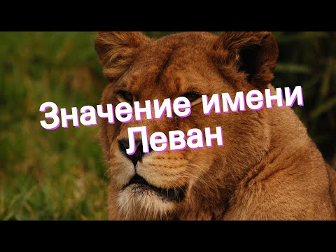 Значение имени Леван. Толкование, судьба, характер