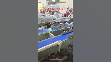 fish grader, fish weight grader, fish sorter, fish weight sorter, fish grading machine, fish sorting