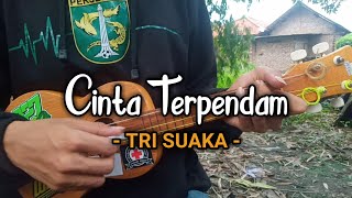 TRI SUAKA - Cinta Terpendam ukulele kentrung cover by All tomcatt