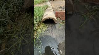 go force JBL Puliya testing water