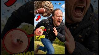 This dad had it coming! #bees #fail #football #funny #commentary #viral