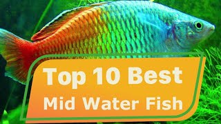 Top 10 Best Mid Water Fish