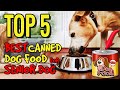Best canned dog food for senior dog