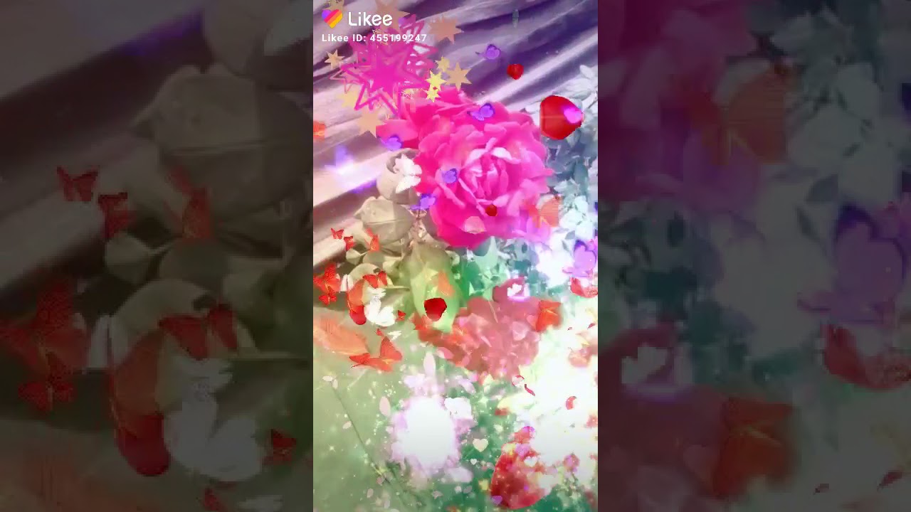 The Roses of luck YouTube