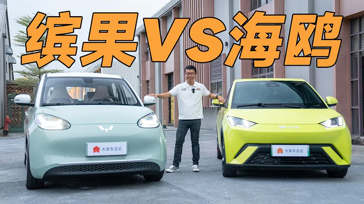 海鷗vs繽果：誰是最值得買的8萬RMB純電小車？【大家車言論】 - 天天要聞