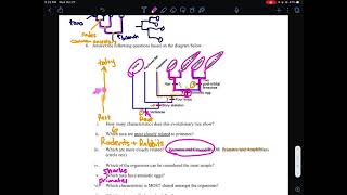 Chapter 3 Study Guide Bio 137