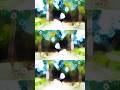 ✅️🙋OMG editar boy 004 #trending #trend #editingvideo #subscribe100 #youtube #viralvideo #shortsviral