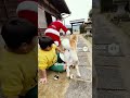 【クリスマスの思い出】おむすび大好きAI小学生 金太郎くん #お笑い #ドッキリ #サンタクロース #christmas #santaclaus #太っちょ #太っちょ界隈 #おむすび #ai