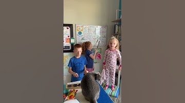 CC Cycle 2, Week 18 English (5 cases of nouns)