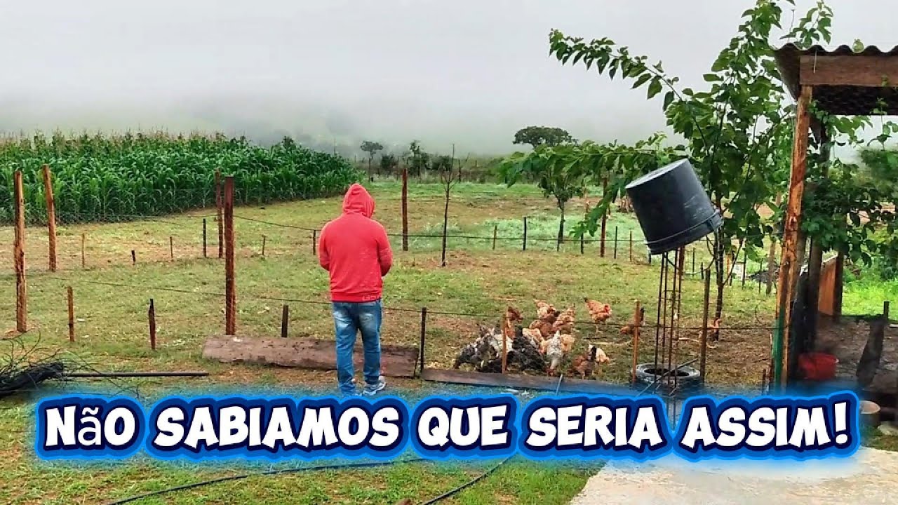 COMO UM CASAL SEM EXPERIÊNCIA ESTÃO SOBREVIVENDO NA ROÇA | CONSTRUINDO UM SÍTIO DO ZERO?🌿