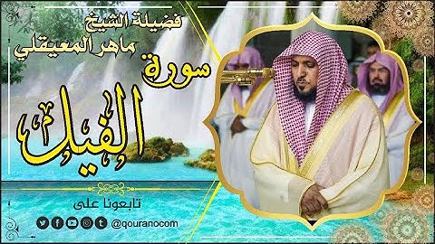 سورة الفيل لفضيلة الشيخ ماهر المعيقلي🌹 القرأن الكريم