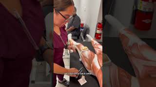 Injection Training: How to Avoid Nerve Damage! #osce #nursingskills