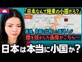 日本は本当に“小国”か？地図で暴く意外な真実！数字で見る日本の本当の姿から地理的価値を読み解く【海外の反応】外国人のリアクション reaction
