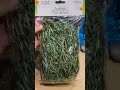 DIY Rainforest Dollar Store Barbie Diorama
