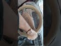 Restauración de Mustang new edge