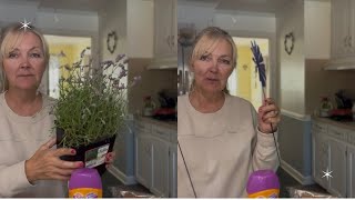 Big Lots | Tractor Supply Haul