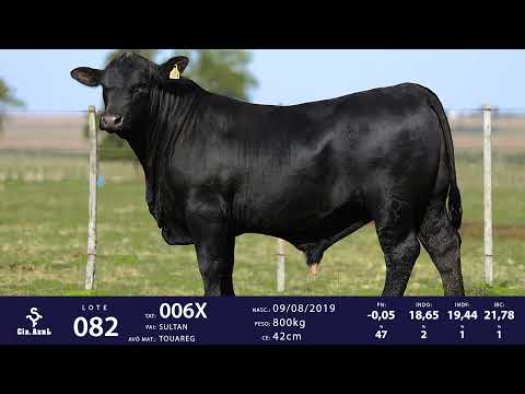 LOTE 82 - TAT 006X