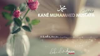 KANÊ MUHAMMED MUSTAFA - SEYFULLAH 𝄞 Resimi