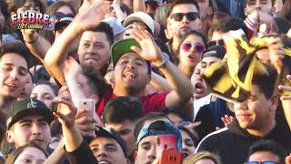 Download Lagu Amar Azul - En Vivo - Fiebre de Cumbia 2020 - Chile MP3