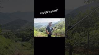 귀농, 얼마면 시작할 수 있나요? | 현실적인 초기 비용 공개!🏷️ #귀농 #귀촌 #시골살이 #농촌창업 #초기자본 #귀농준비 #농촌비즈니스 #농사초보 #한달살기 #농촌생활