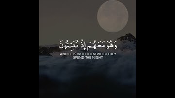 أجمل حالات واتس اب قرآن كريم بدون حقوق بصوت عبدالله غيلان | صوت خاشع يريح القلب❤😴