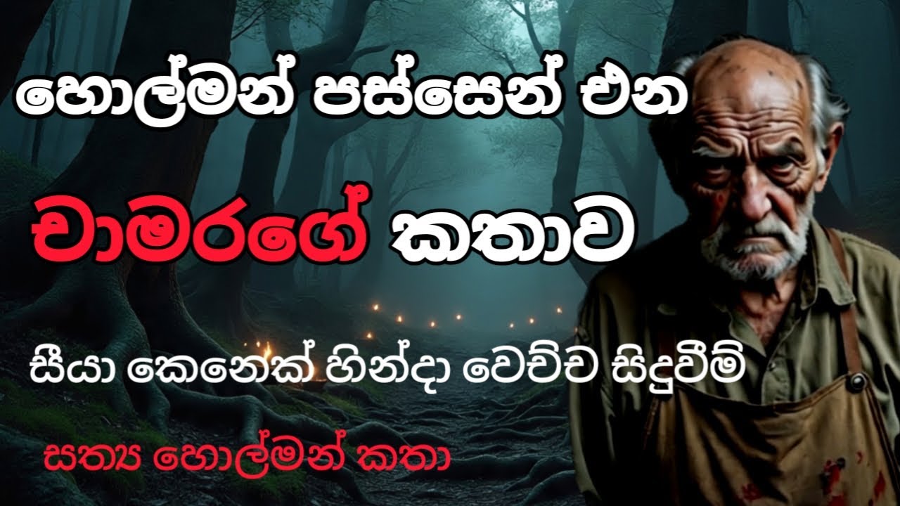 නොහිතූ වෙලාවක හොල්මන් වෙච්ච සීයා | Holman katha |  Horror story | Deal Air