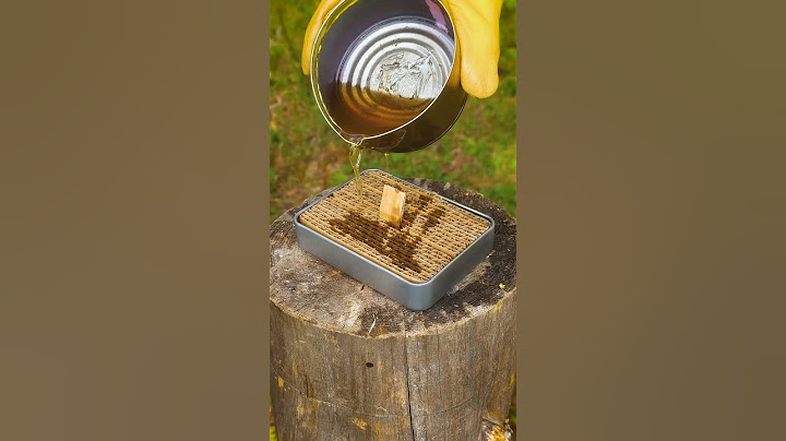 Perfect IDEA for Survival in the wilderness #bushcraft #camping #lifehacks