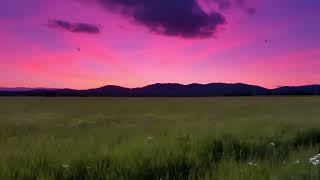 1 HOUR PURPLE SKY GREEN GRASS AESTHETIC  BACKGROUND SCREENSAVER screenshot 3