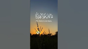 وربك يخلق ما يشاء _ القارئ عمر الدريويز