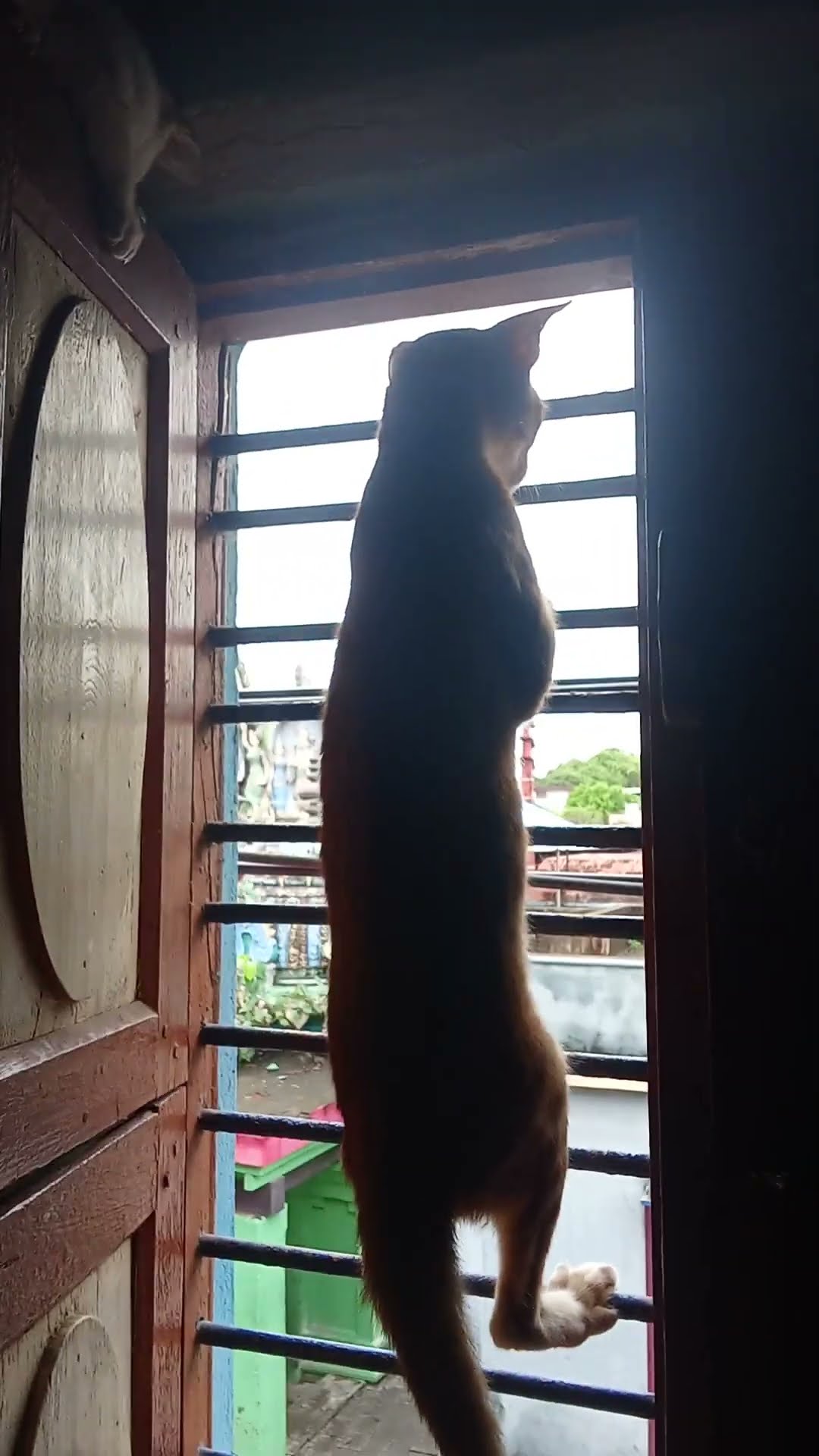 😍மனதை தொடும் ஸ்டேட்டஸ் - ShareChat