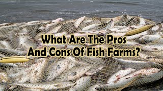 What Are The Pros And Cons Of Fish Farms What About Nuclear Energy How Many Countries Are