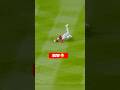 FULL SPEED DIVE! SCOTT MAKES A CRAZY PLAY 💥⚾ #MLBHighlights #parati #mlb #baseball #beisbol