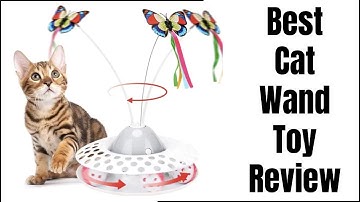 Best Cat Wand Toy Review