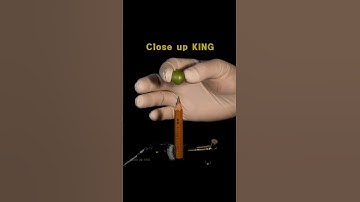 ASMR Pencil vs Grape close-up macro #shorts #satisfying #closeup #asmr #macro