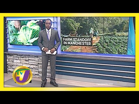 Trouble in Alligator Pond Manchester, Jamaica Farmers Standoff | TVJ News