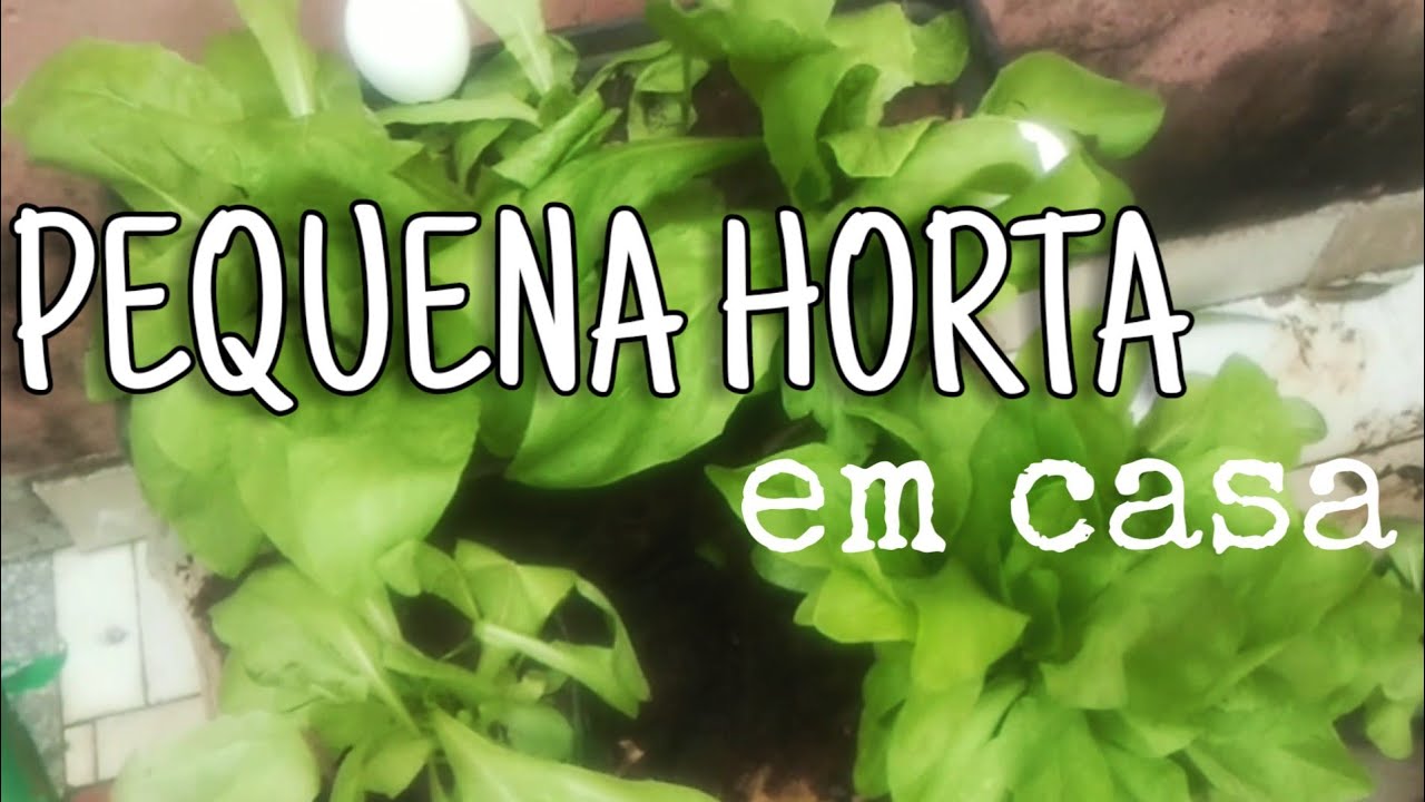 Horta de Garrafa Pet southwest