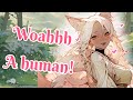 [ASMR] Yandere Sweetheart Kitsune traps you [Curious Kitsune]